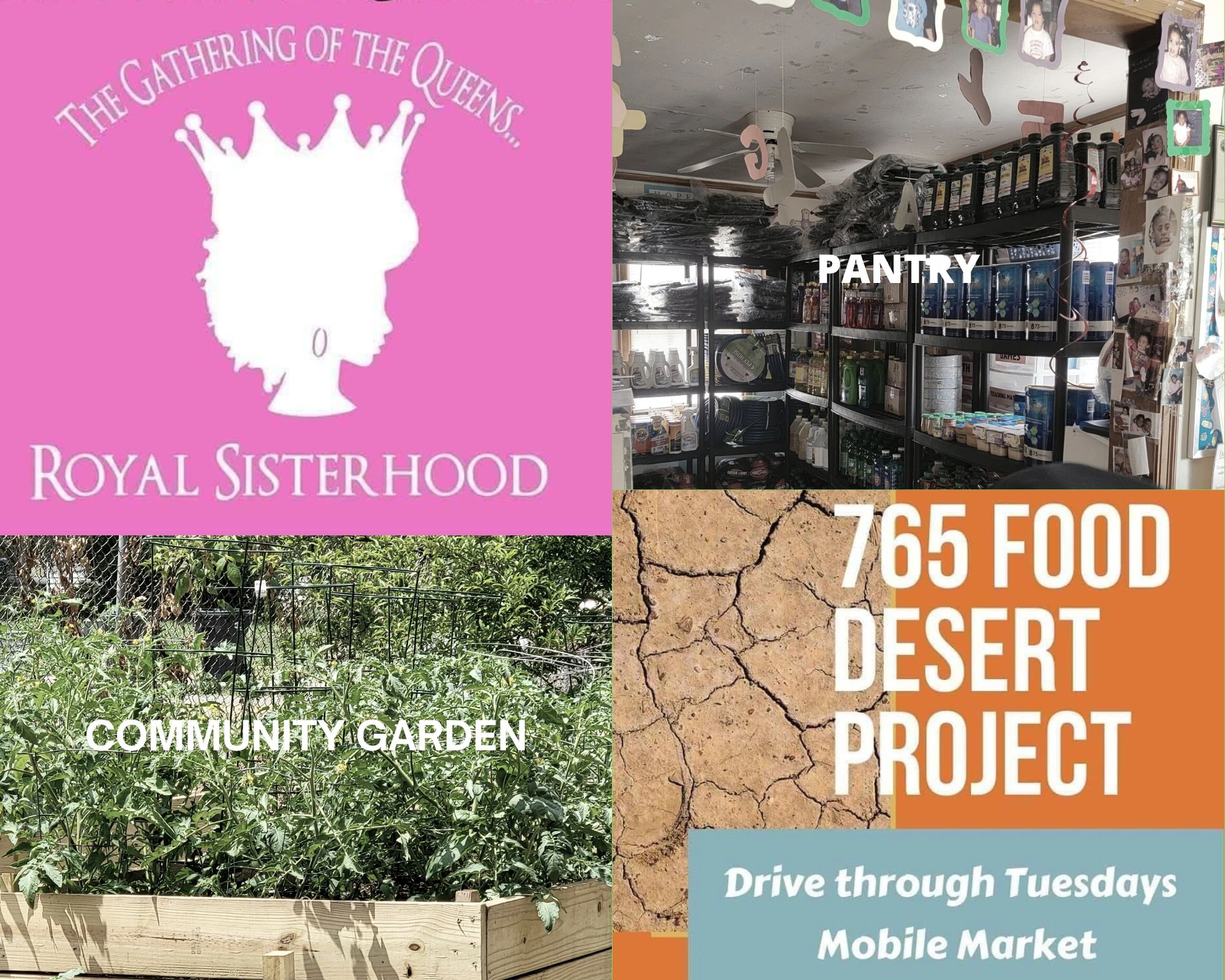 The 765 Food Desert Project